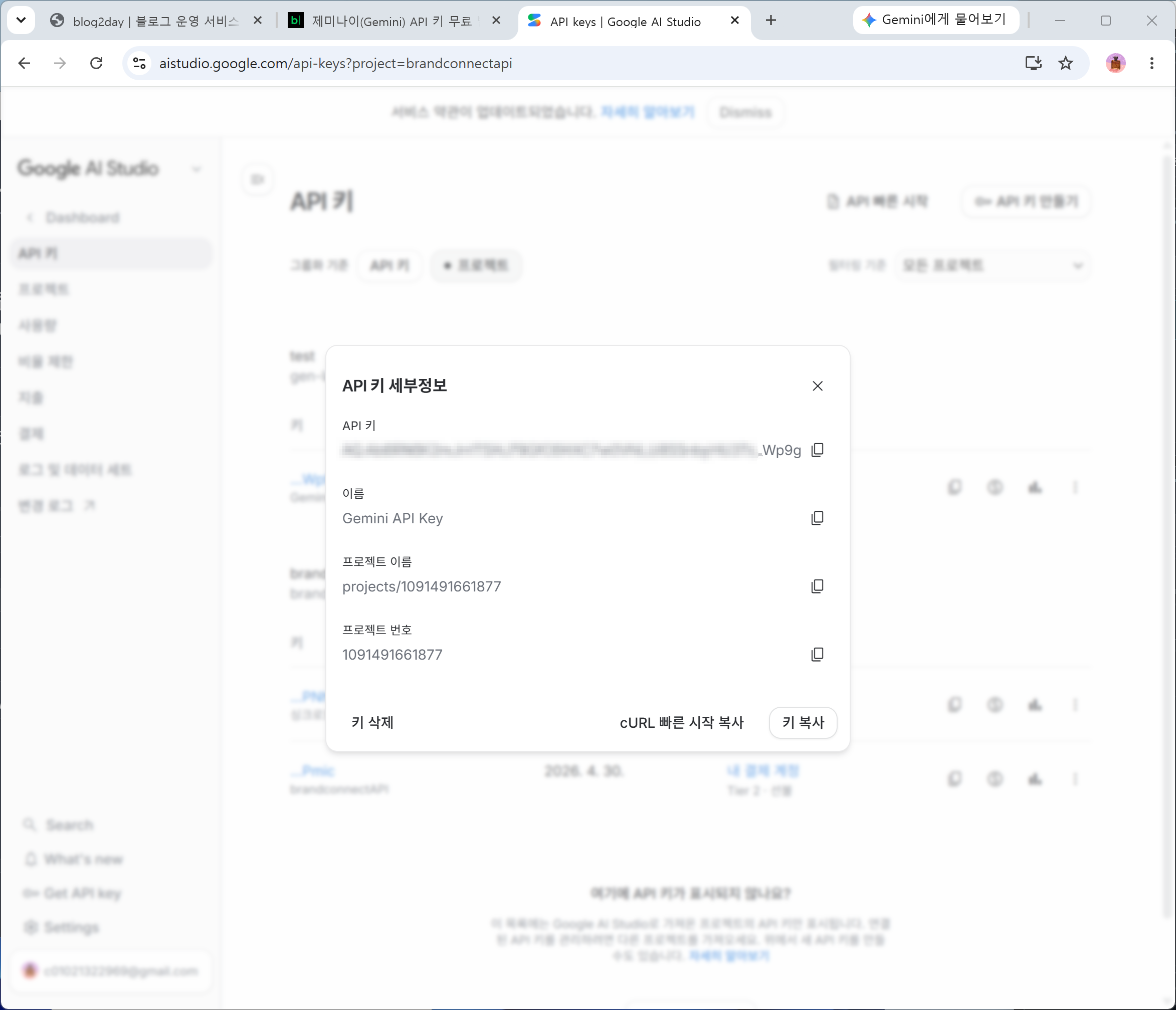 Google AI Studio API 키 세부정보 창이 열린 화면